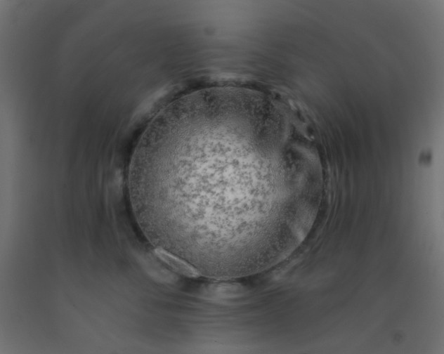 X0000092300716200709281326