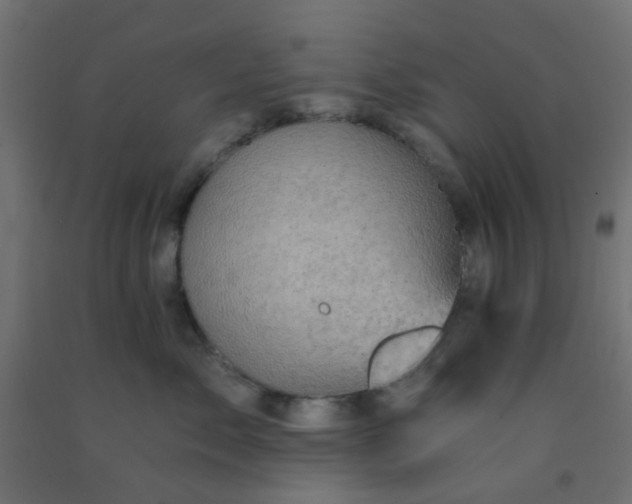 X0000092300717200709281326