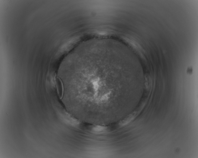 X0000092300718200709281326