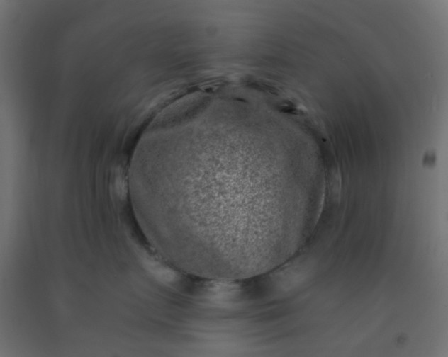 X0000092300719200709281326