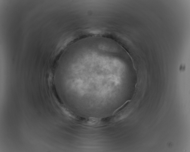 X0000092300720200709281326