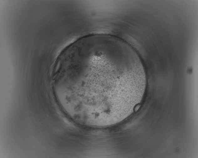 X0000092300721200709281325