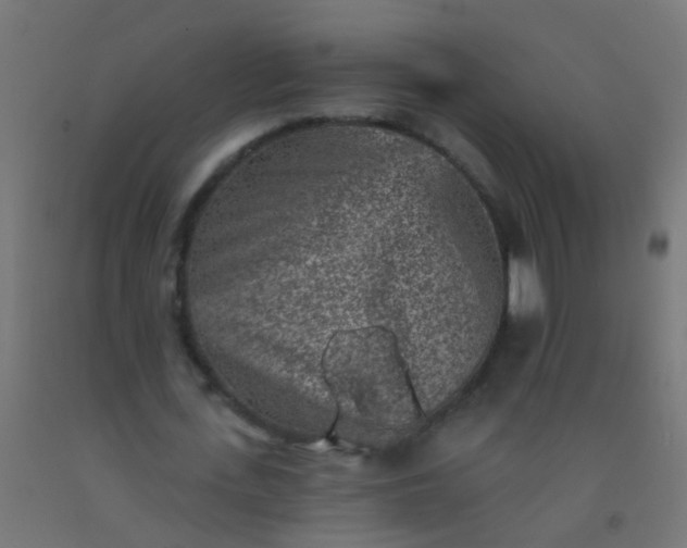 X0000092300723200709281325