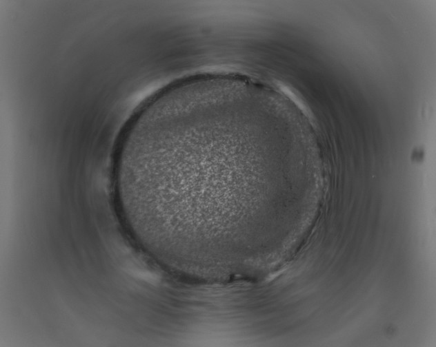 X0000092300724200709281325