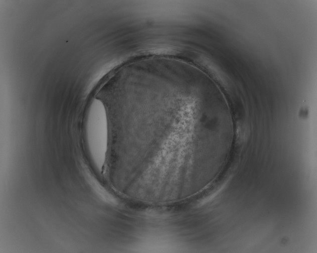 X0000092300725200709281325