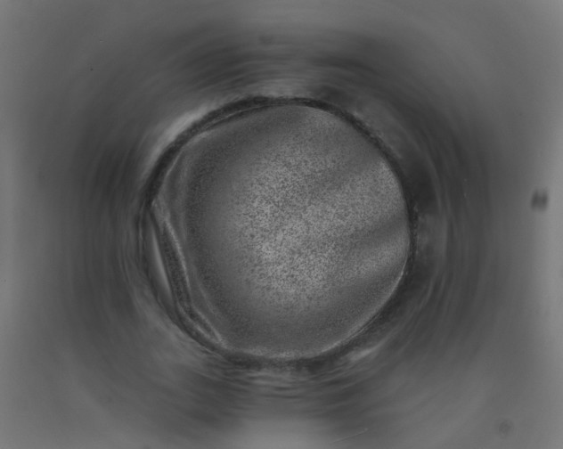 X0000092300727200709281325