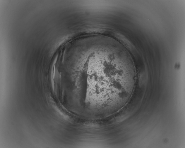 X0000092300729200709281325