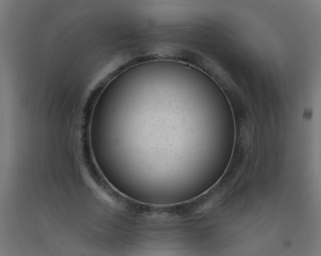 X0000092300730200709281325