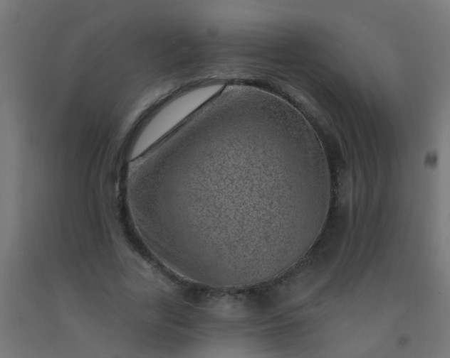 X0000092300731200709281325