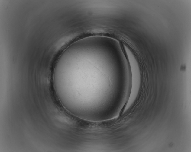 X0000092300732200709281325