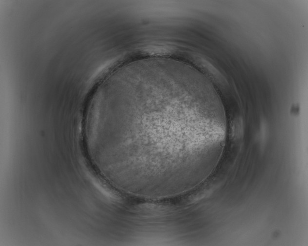 X0000092300733200709281325