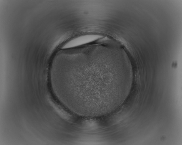 X0000092300735200709281325