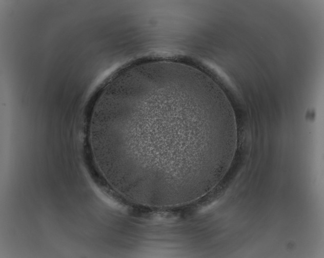 X0000092300736200709281325