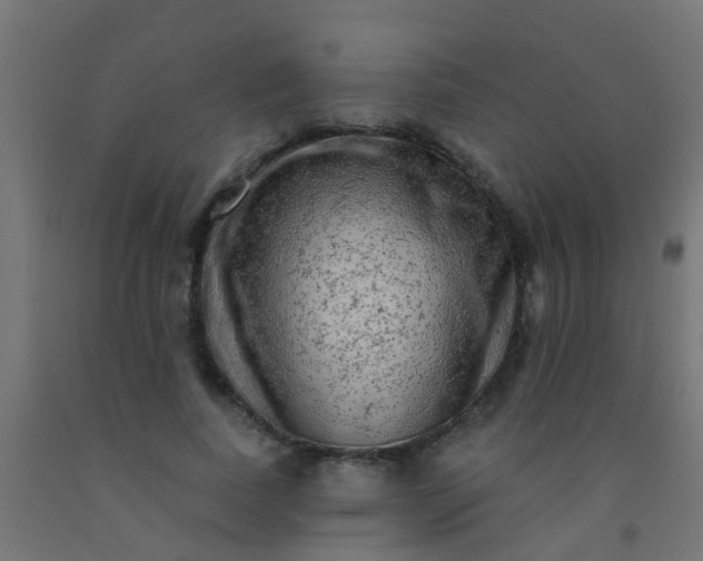 X0000092300739200709281325