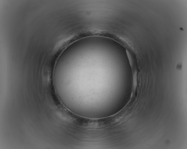 X0000092300740200709281325