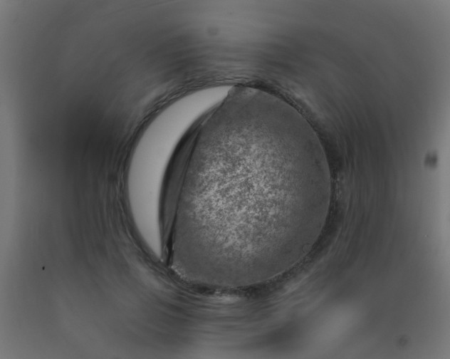 X0000092300741200709281325