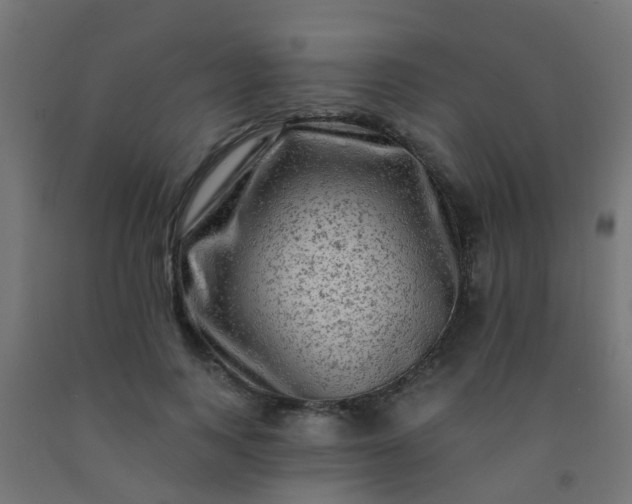 X0000092300743200709281325