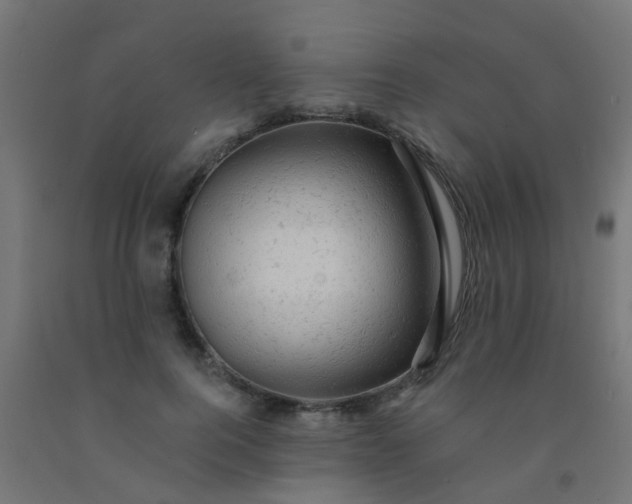 X0000092300744200709281325