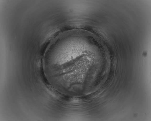 X0000092300746200709281325