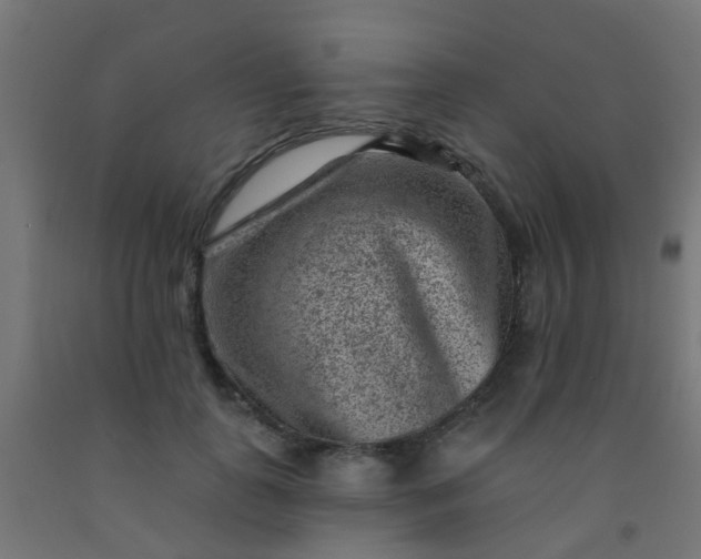 X0000092300747200709281325