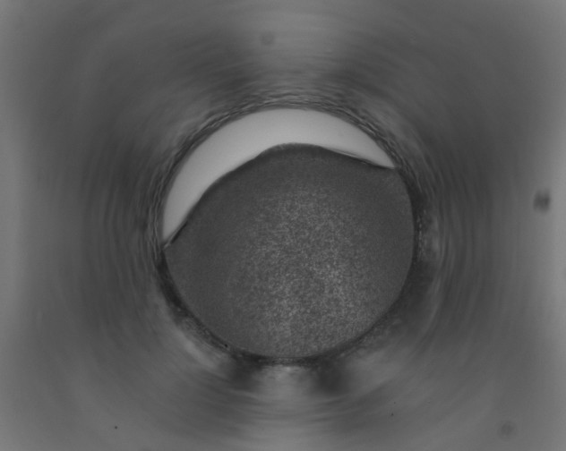 X0000092300748200709281325