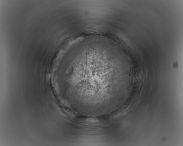 X0000092300749200709281325