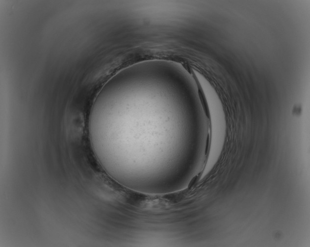 X0000092300752200709281326