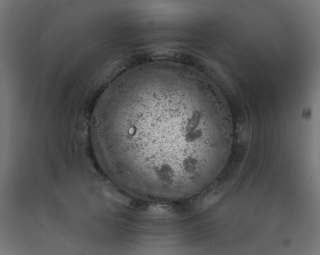 X0000092300753200709281326