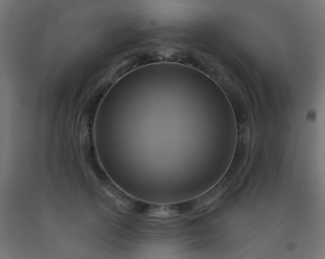 X0000092300754200709281326