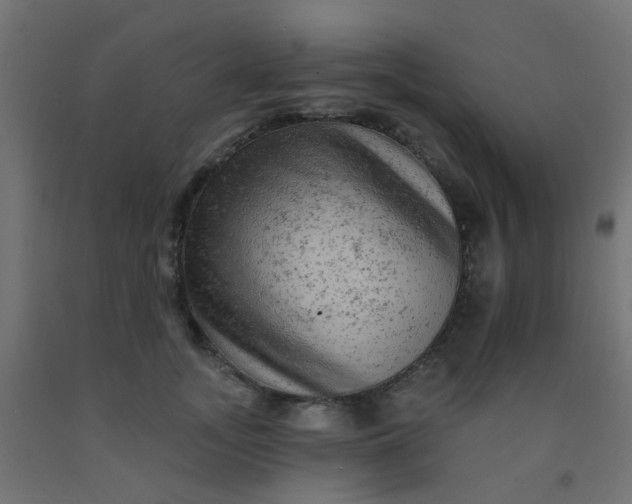 X0000092300755200709281326