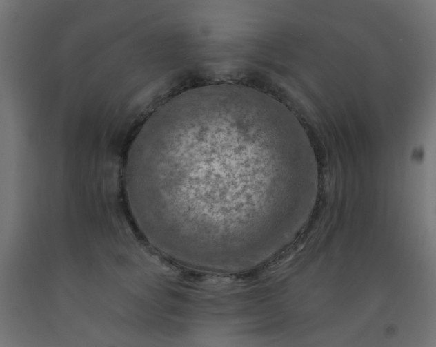 X0000092300757200709281326