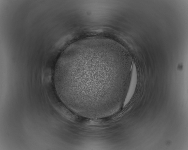 X0000092300758200709281326