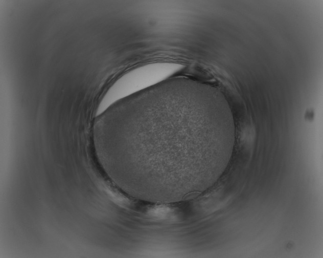 X0000092300759200709281326