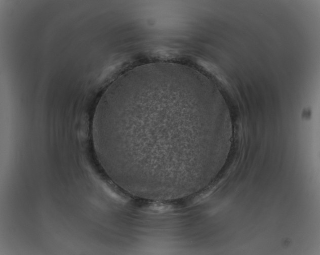 X0000092300760200709281326