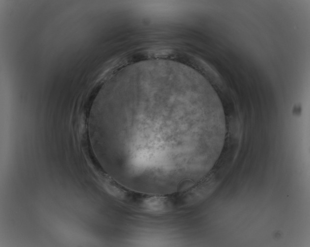 X0000092300761200709281326