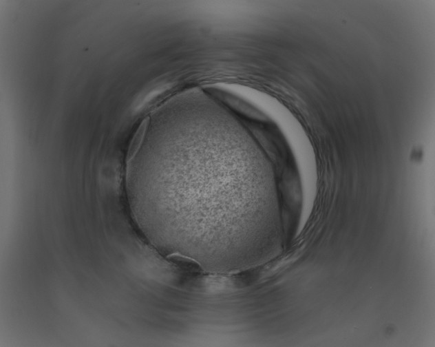 X0000092300762200709281326