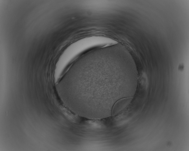 X0000092300763200709281326