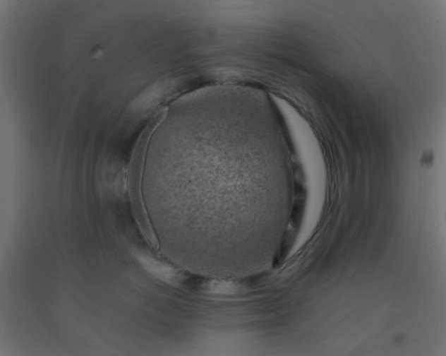 X0000092300766200709281326