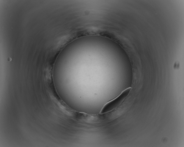 X0000092300768200709281326