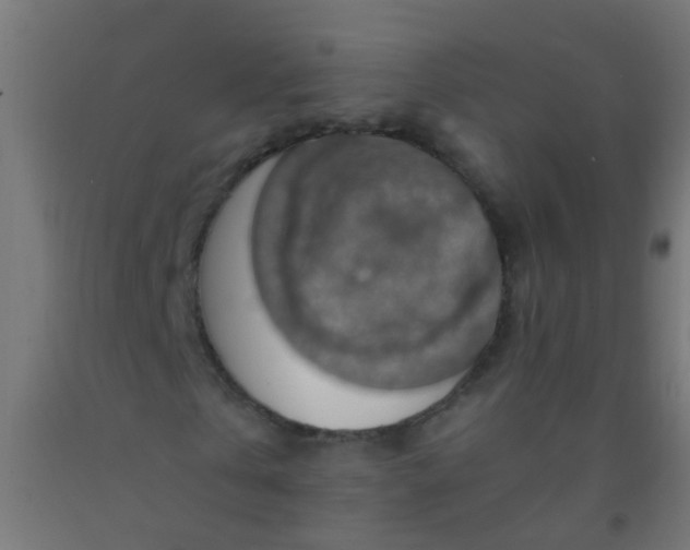 X0000092300769200709281325