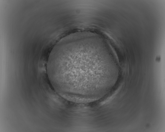 X0000092300770200709281325