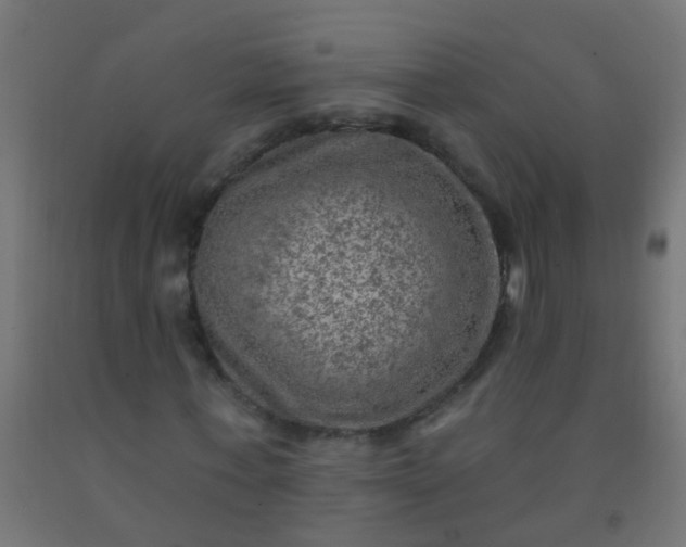 X0000092300771200709281325