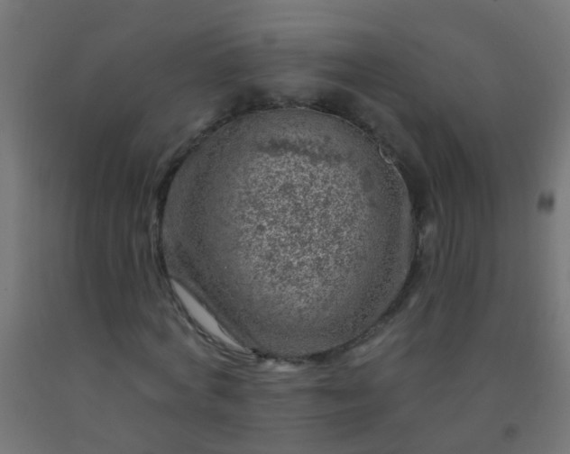 X0000092300772200709281325