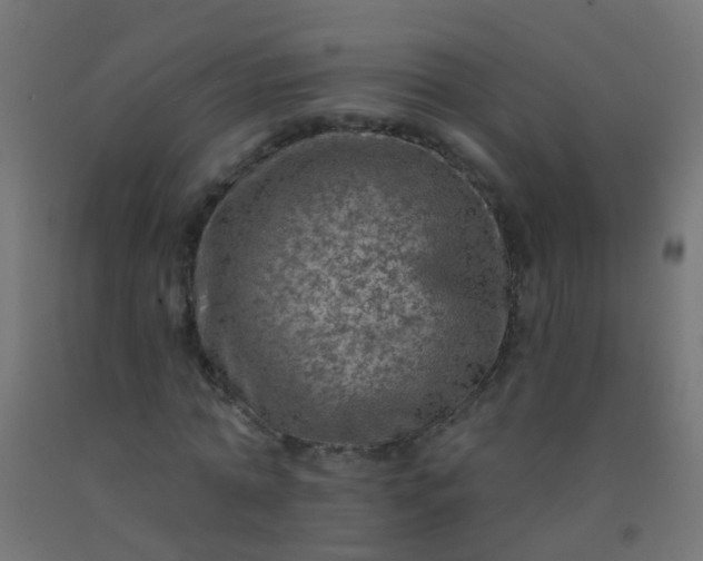 X0000092300774200709281325