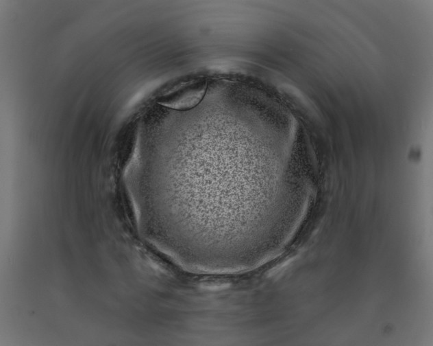 X0000092300776200709281325