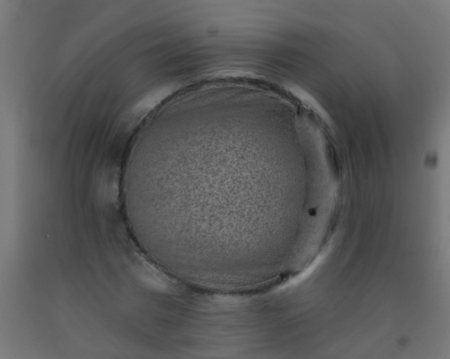 X0000092300777200709281325