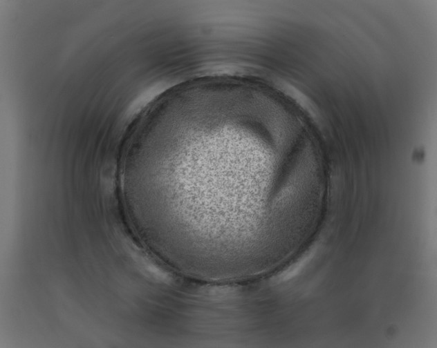 X0000092300778200709281325