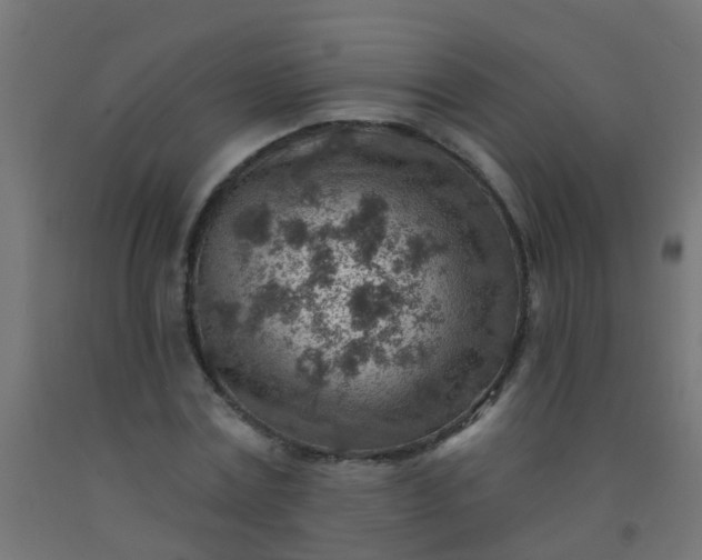 X0000092300779200709281325