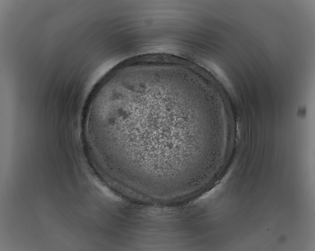 X0000092300780200709281325