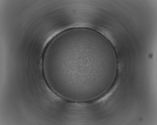 X0000092300781200709281325